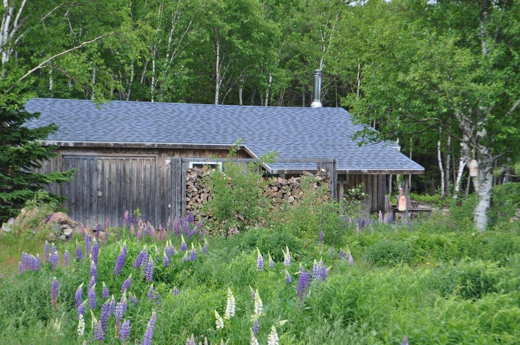 The Sleeping Moose Cottage Birch Plain Zewnętrze zdjęcie