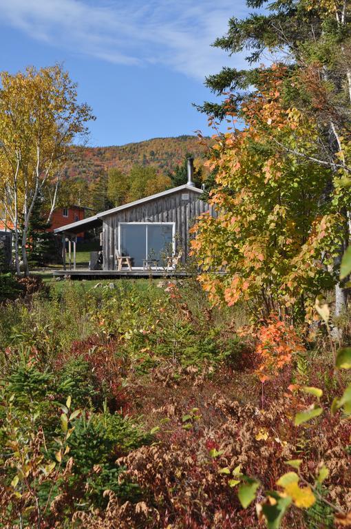 The Sleeping Moose Cottage Birch Plain Zewnętrze zdjęcie